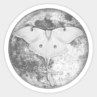 Moon Moth Sticker